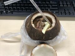 原只椰子炖鹌鹑-達揚原味燉品(文明路店)