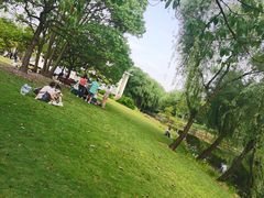 -上海滨江森林公园