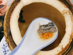 原只椰子炖竹丝鸡-達揚原味燉品(文明路店)