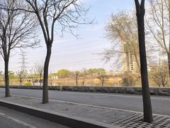 -丁香湖公园