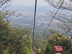 -缙云山景区