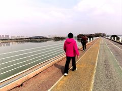 -贡湖湾湿地公园