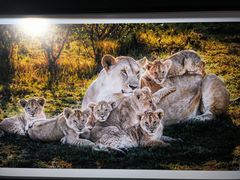 -罗红摄影艺术馆