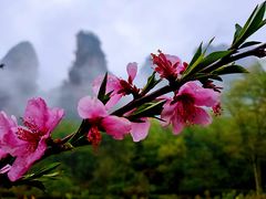 -张家界天门山国家森林公园