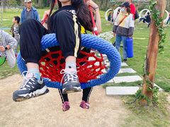 -黄海国家森林公园