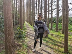 -上海长兴岛郊野公园