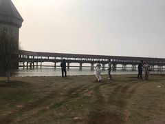 -九龙湖公园