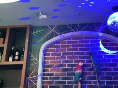 -米乐星世界KTV(汇智国际商业中心店)