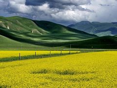 -青海湖国家重点风景名胜区