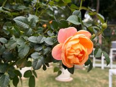 -人民公园(罗湖区)