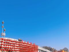 -石家庄市植物园