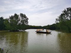 -大湾区中央湿地公园