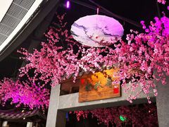 -韵秋荷(宝山龙湖天街店)