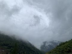 -四明山国家森林公园