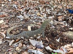 -植物园哈利亚餐厅