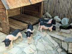 -HERRE·FARM 赫尔露营农场·团建聚会包场