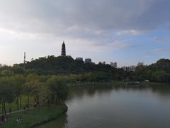 -顺峰山公园