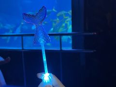 -太平洋海底世界