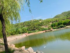 -五龙城郊森林公园