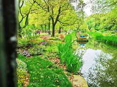 -上海共青森林公园