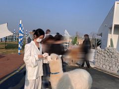 -Blue Concept Cafe&Farm·關於藍