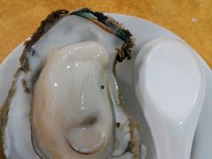 -蚝专家(北滘店)