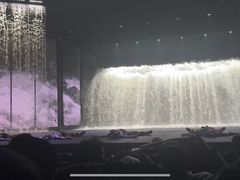 -丽江千古情