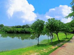 -升仙湖公园