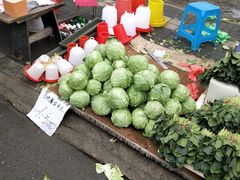 -蒲河大集