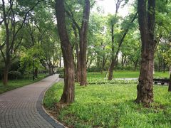 -玲珑塔公园