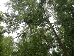 -泰安地下龙宫景区