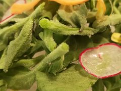 冰菜-周三的情书花园餐厅(江北店)