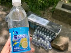 -紫金山山顶公园