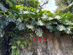 -广州兰圃
