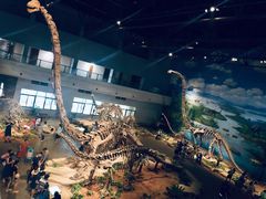 -自贡恐龙博物馆