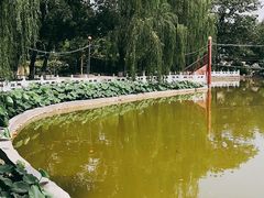 -丰台花园