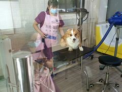 -暖阳宠物医院·犬猫康复中心·骨科