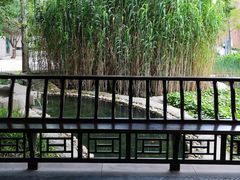 -活水公园