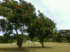 android_upload_pic-美国纪念公园