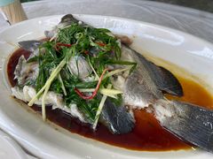 -众味海鲜大排档·活海鲜·潮汕味(南澳店)
