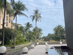 -瑰丽酒店·海吧·天际下午茶·现场DJ·天台酒吧