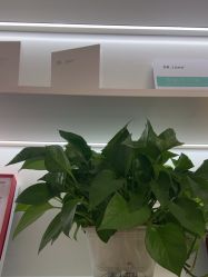 -Dr·Jane皮肤管理中心