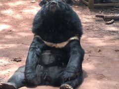 -昆明动物园