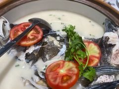 -全乐鱼馆·淳牌有机鱼直营店