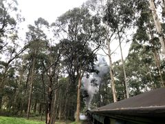 -墨尔本皇家植物园