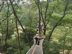 -芦仙山景区-飞越丛林探险乐园