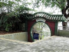 -广东惠东海龟国家级自然保护区