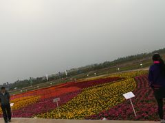 -润记农家菜