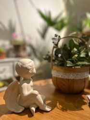 -芳香乐府疗愈空间·SPA·冥想