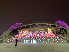 -沈阳奥体冰雪嘉年华